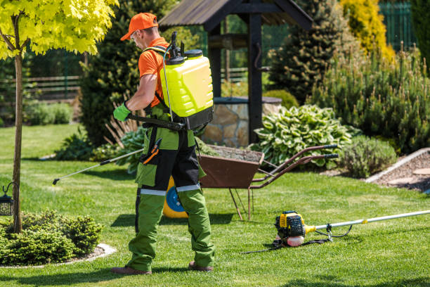 Best Pest Exclusion Services  in Brooklyn, WI